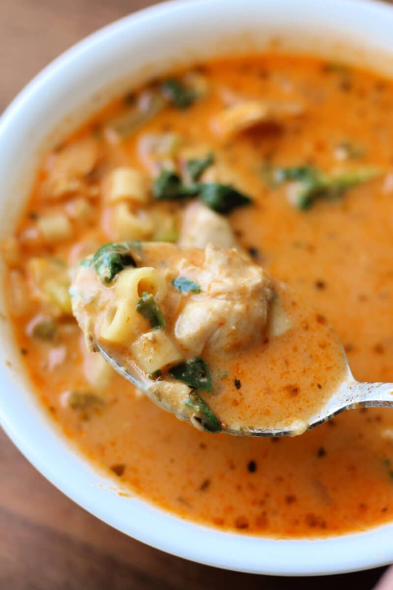 Creamy Tuscan Garlic Parmesan Chicken Soup--an easy Instant Pot or slow cooker soup made with tender chicken, ditalini pasta, spinach, tomato sauce, and sun-dried tomato pesto.